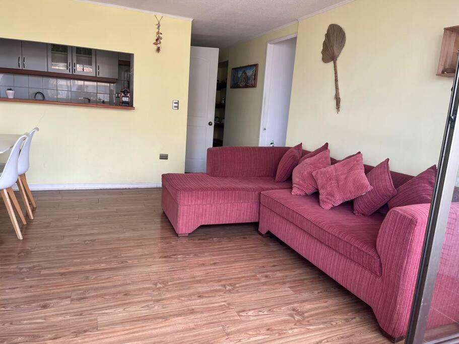 Cozy In Renaca Apartamento *